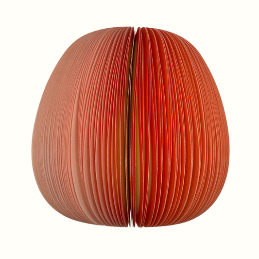 Red Apple Sticky Notes