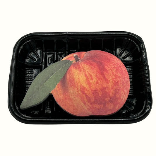 Apple Mini Notepad